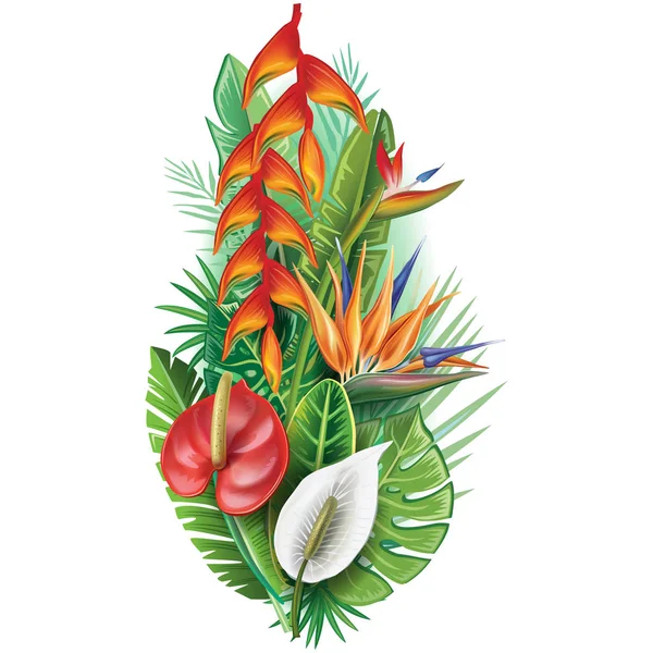 Disposición de las plantas tropicales — Vector de stock