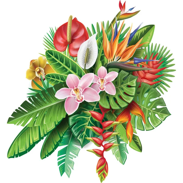 Arreglo de plantas tropicales y flores — Vector de stock