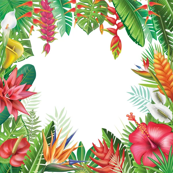 Marco de plantas tropicales — Vector de stock