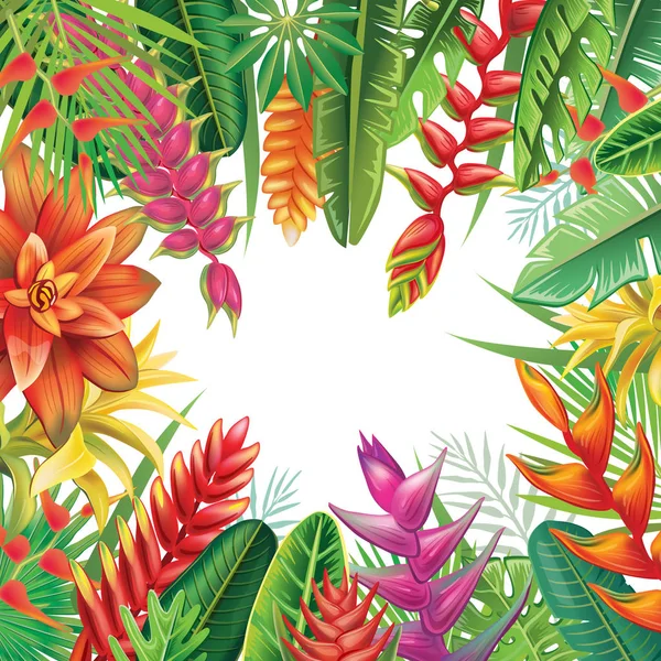 Frame van tropische planten — Stockvector