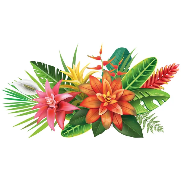 Arrangement from tropical flowers — Stock Vector