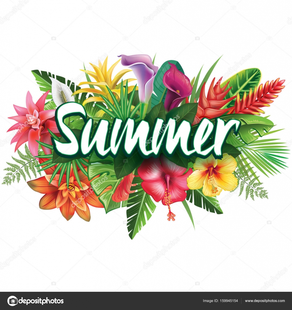 Download Summer banner from tropical flowers — Stock Vector ...