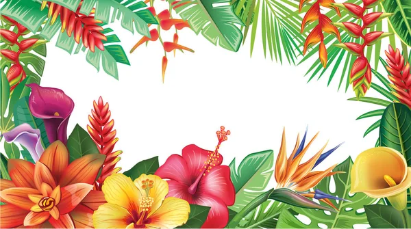 Banner z tropikalnych kwiatów — Wektor stockowy