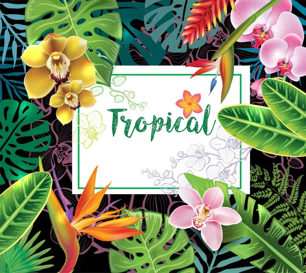 Banner from tropical plants — Stock Vector