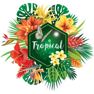 Tropik bitkiler banner