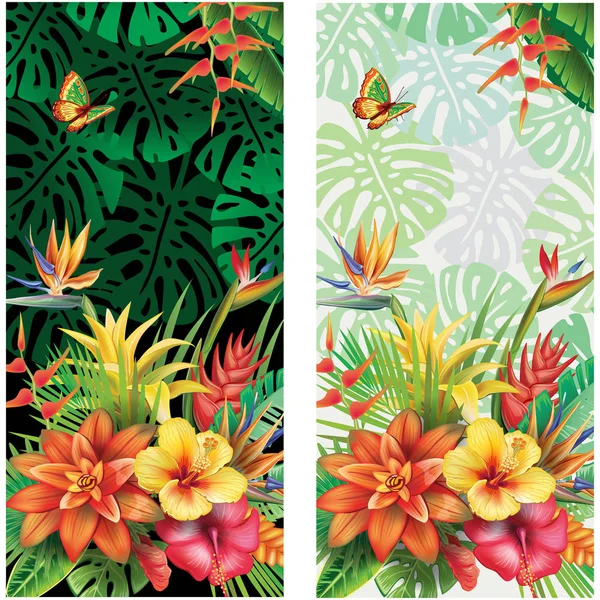 Cartões de flores tropicais — Vetor de Stock