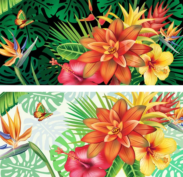 Cartões de plantas e flores tropicais — Vetor de Stock