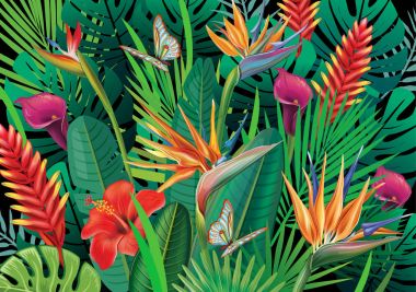 Tropik çiçeklerle arka plan