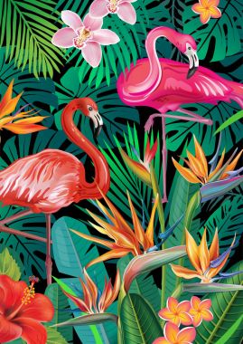 Arka plan ile egzotik tropik çiçekler