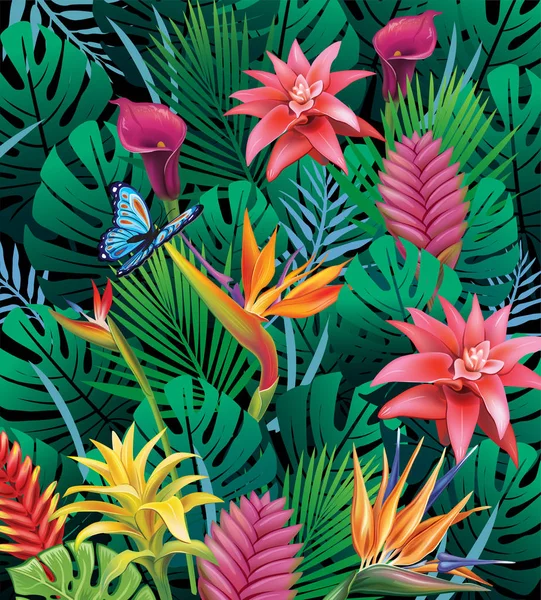 Sfondo con fiori tropicali esotici — Vettoriale Stock