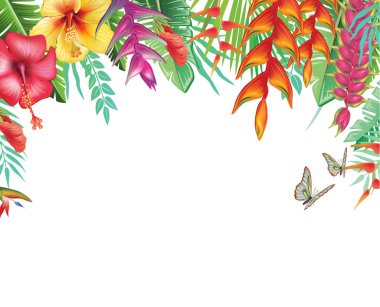 Çerçeve tropikal ve çiçekler