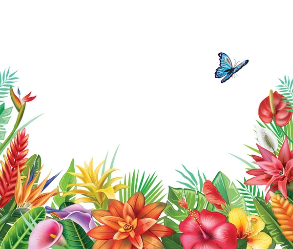 Рамка из тропических цветов — стоковый вектор
