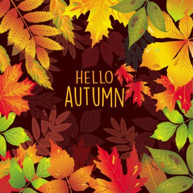 Sonbahar yaprak mevsimlik çerçeve