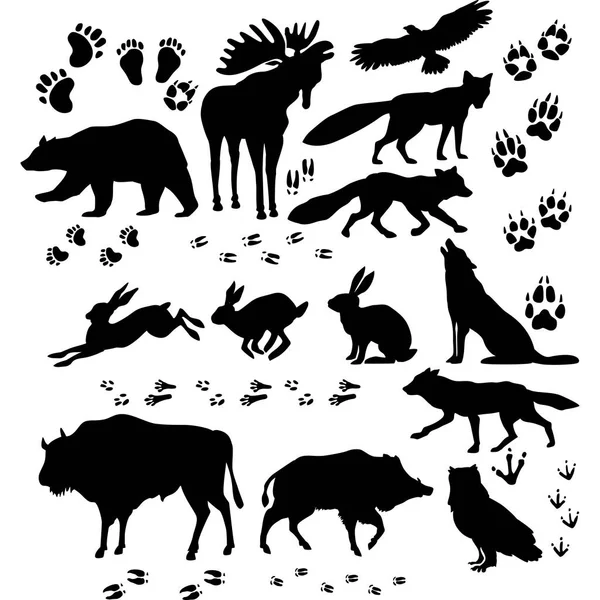 Wild animals and birds silhouette — Stock Vector