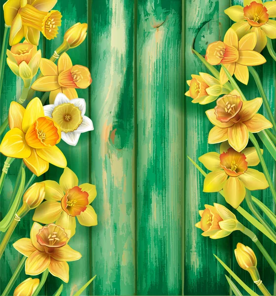 Daffodils flowers on the wooden background — Stock Vector