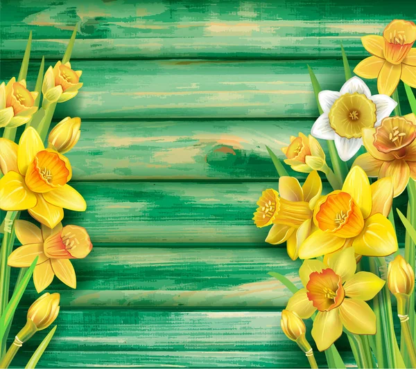 Daffodils flores no fundo de madeira — Vetor de Stock
