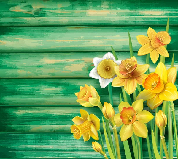 Påskliljor blommor på trä bakgrund — Stock vektor