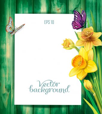 Nergis çiçek ahşap arka plan üzerinde