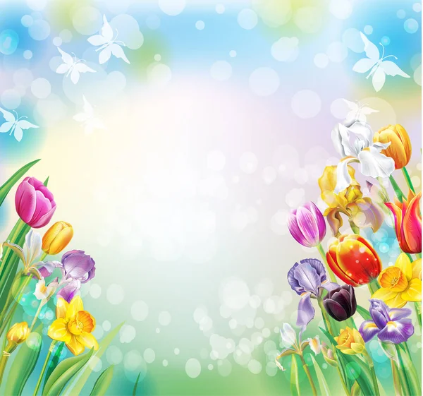 Hintergrund mit bunten Frühlingsblumen — Stockvektor
