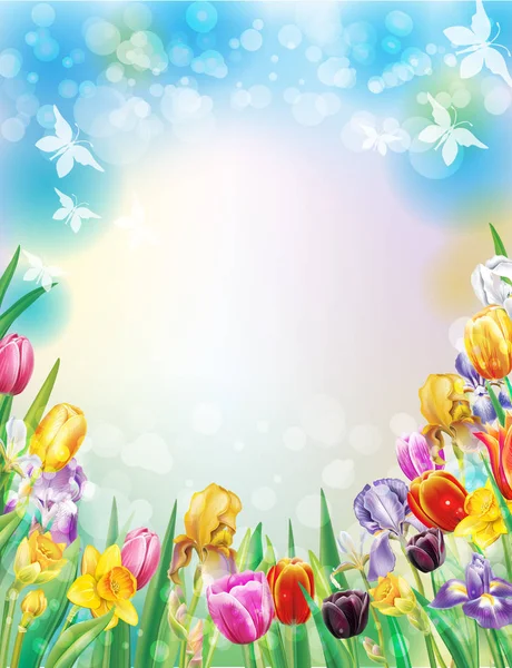 Hintergrund mit bunten Frühlingsblumen — Stockvektor