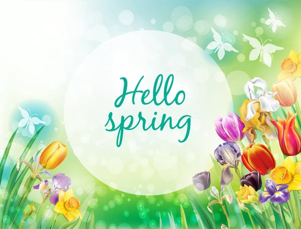 Fond avec des fleurs de printemps multicolores — Image vectorielle