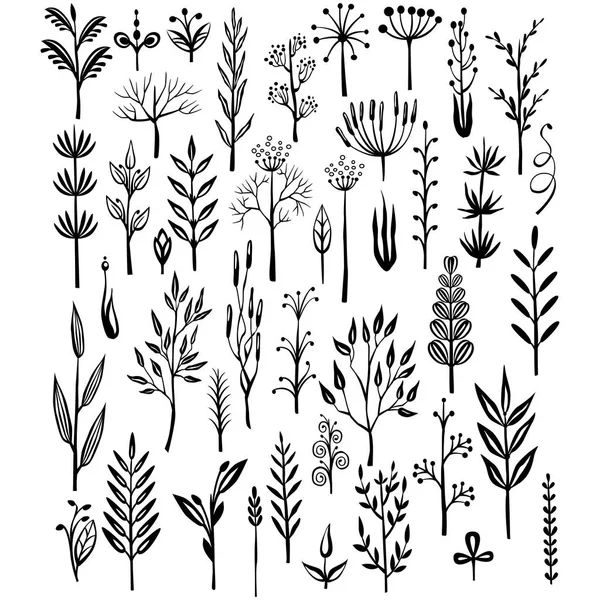 Conjunto de plantas decorativas rústicas — Vector de stock