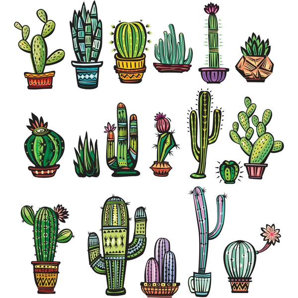 Ensemble de succulents et de cactus colorés — Image vectorielle