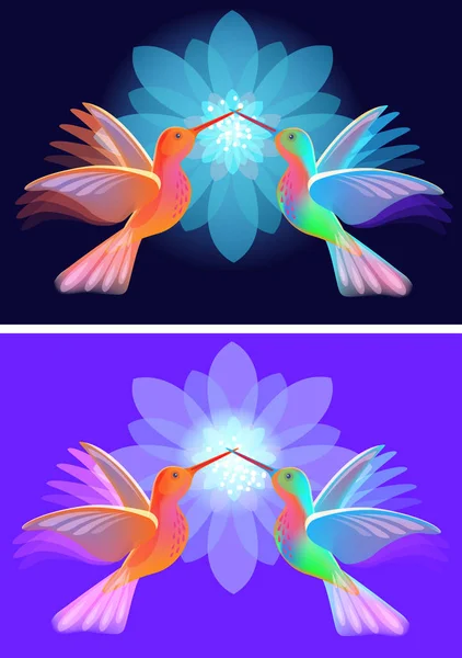 Dwie Kolibry Kwiatami Niebieskim Tle — Wektor stockowy