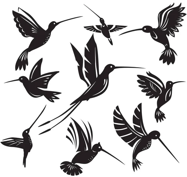Zestaw Sylwetek Latające Kolibry Izolowany Symbol Colibri Wektor Ilustracji — Wektor stockowy