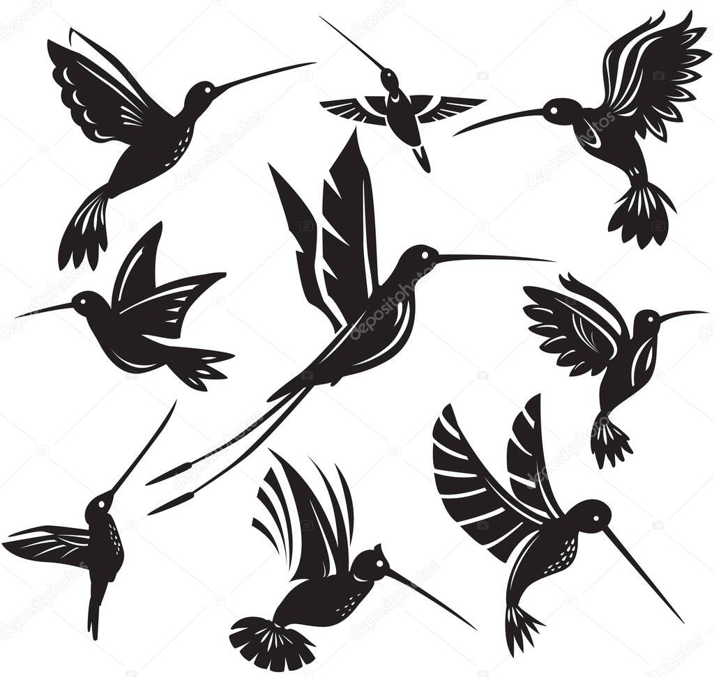 Set of silhouettes flying hummingbirds Isolated colibri symbol vector illustration