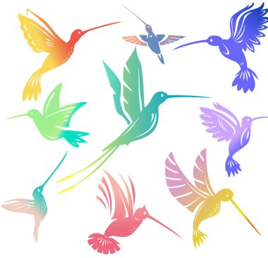 Renkli uçan sinekkuşu seti izole edilmiş kolibri sembolü çizimi