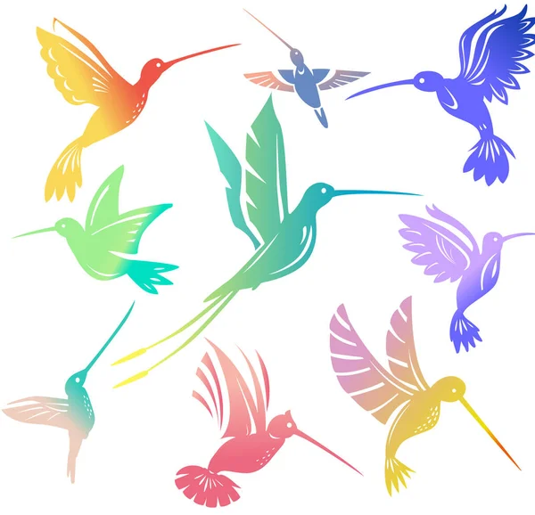 Set Kleurrijke Vliegende Kolibries Geïsoleerde Colibri Symbool Vector Illustratie — Stockvector