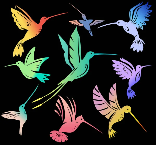 Ensemble Colibris Volants Colorés Symbole Colibri Isolé Sur Noir — Image vectorielle