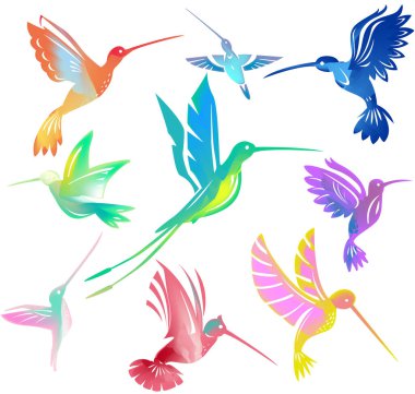 Renkli uçan sinekkuşu seti izole edilmiş kolibri sembolü çizimi