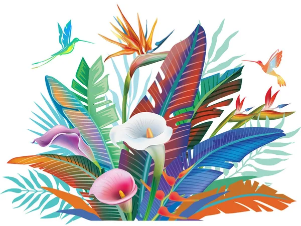 Piante Tropicali Della Giungla Fiori Colibrì Illustrazione Vettoriale — Vettoriale Stock