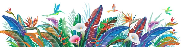 Piante Tropicali Della Giungla Fiori Colibrì Illustrazione Vettoriale — Vettoriale Stock