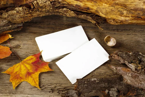 Foto Von Leeren Visitenkarten Auf Einem Herbstlichen Hintergrund Branding Attrappe — Stockfoto