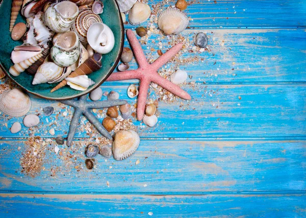 青い木製の板に貝殻やヒトデ 殻付きのセラミックプレートのトップビュー 夏の創造的なフラットレイアウトの概念 — ストック写真