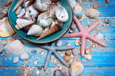 Mavi ahşap arka planda deniz yıldızları ve deniz kabuklarının yuvarlak çerçevesi. 