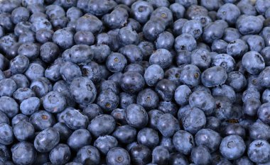 Yabanmersinine yakın çekim