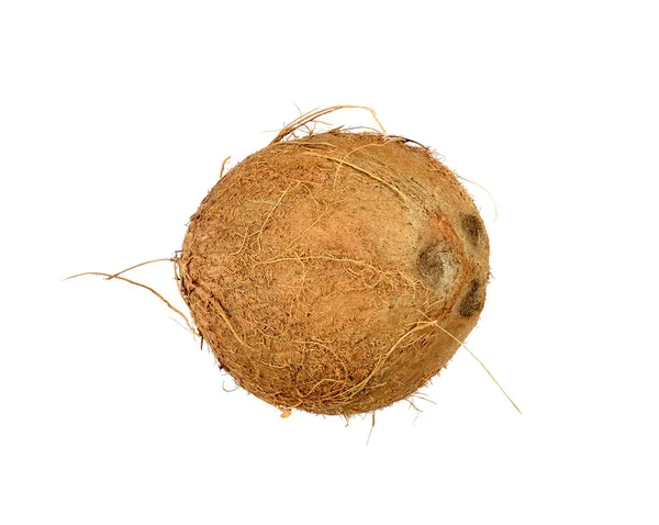 흰색 배경에 고립 된 코코넛 — 스톡 사진