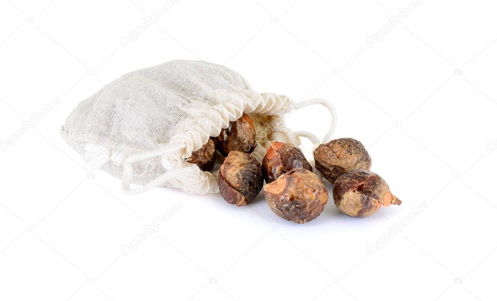 soap nuts with bag