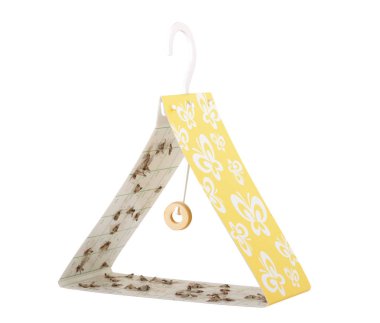 izole hata-tuzak yakalanan pervane ile beyaz arka plan üzerinde