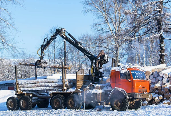 Hydraulisk kran lastning skär skogen vintertid — Stockfoto