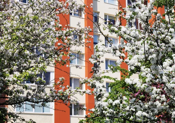 Residential building among apple blossom — Stock Photo, Image