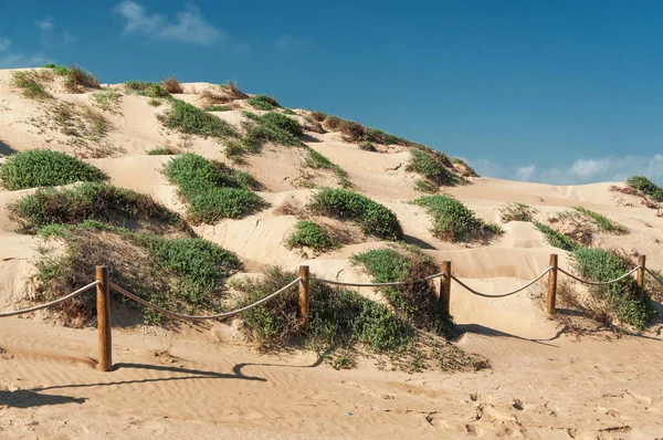 Sand dunes. The protected environment — Stock Photo, Image
