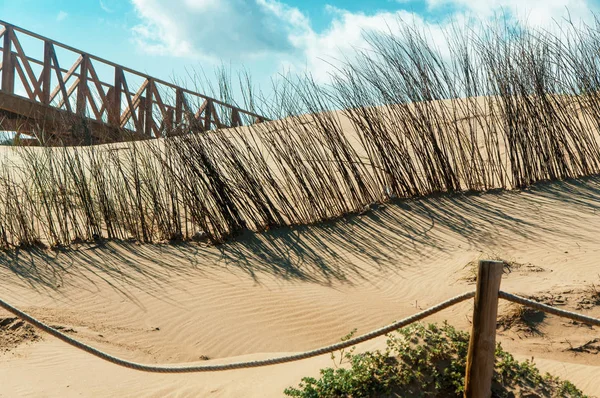 Písečné duny. Chráněné prostředí — Stock fotografie