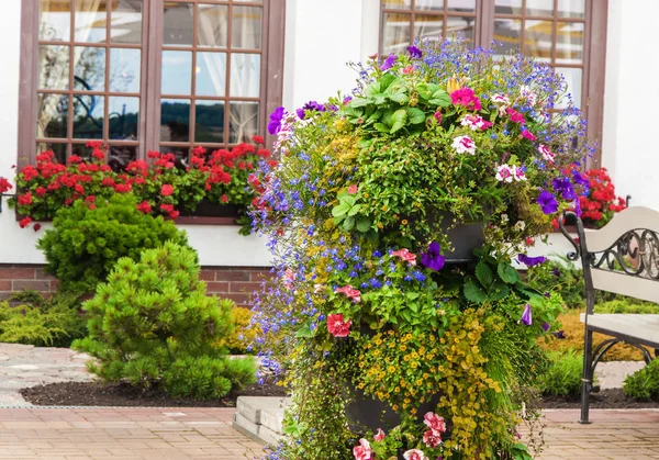 Bellissimo giardino fiorito — Foto Stock