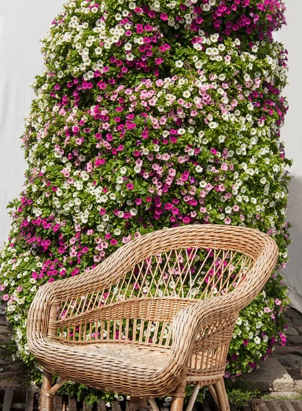 Wicker chair to relax in fall sunshine — Stock Photo, Image