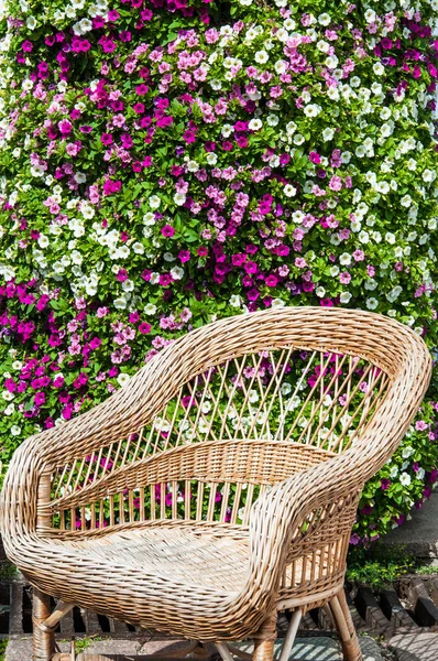 Wicker chair to relax in fall sunshine — Stock Photo, Image